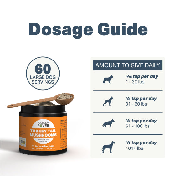 Turkey Tail Mushrooms