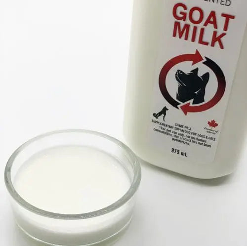 Goat Milk