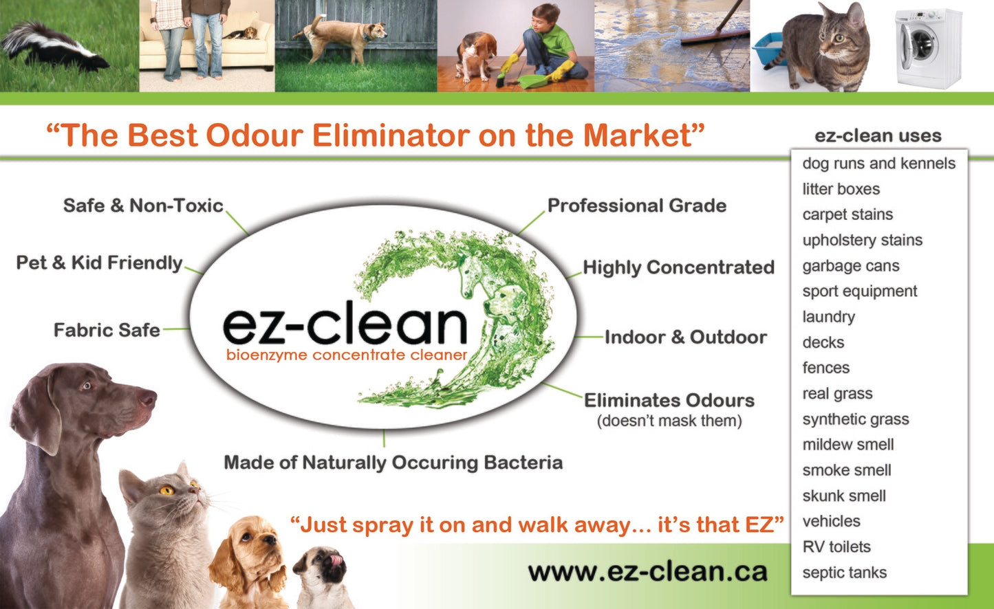 Ez-Clean Concentrated Bioenzyme Cleaner 250mL