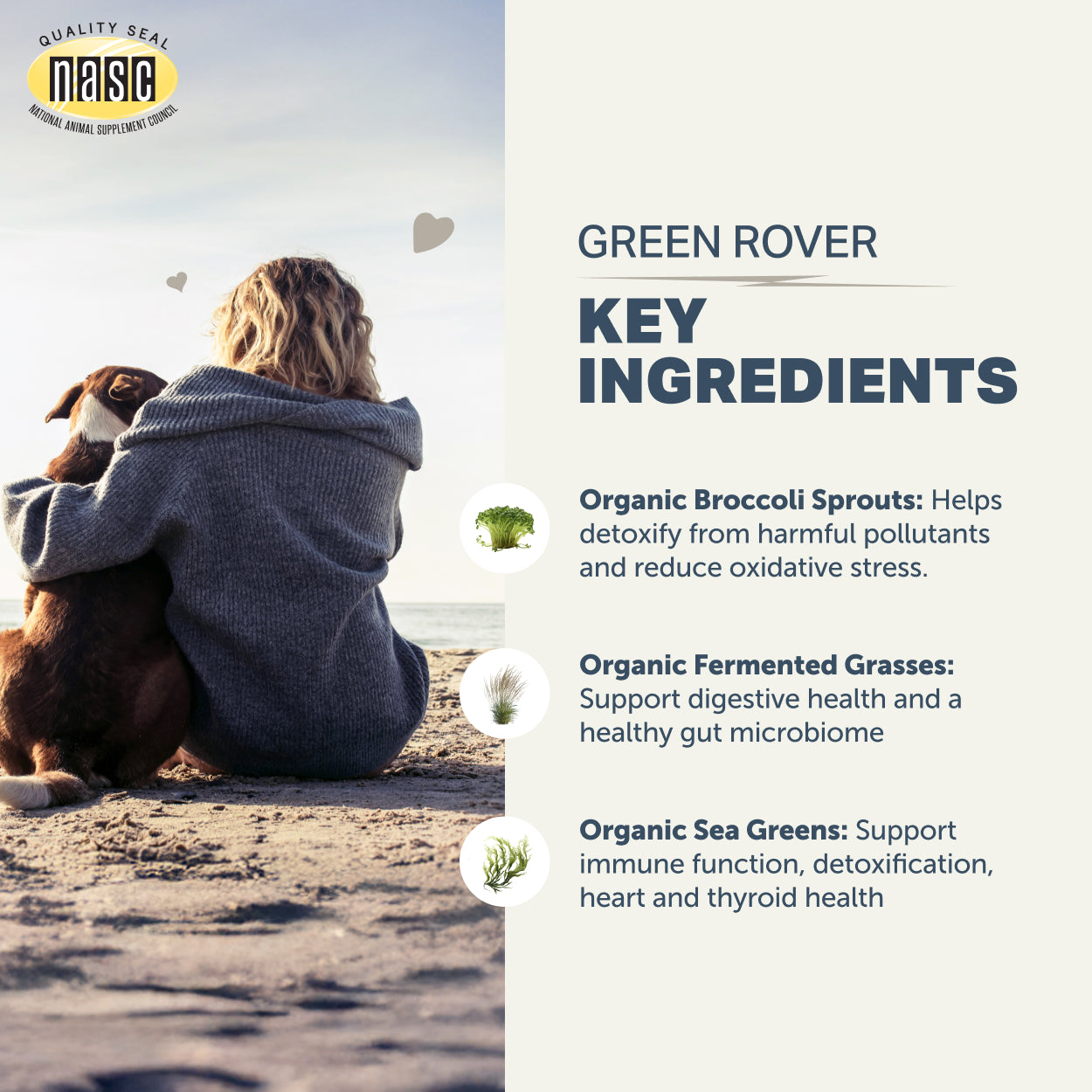 Green Rover - Green Ferment for Dogs