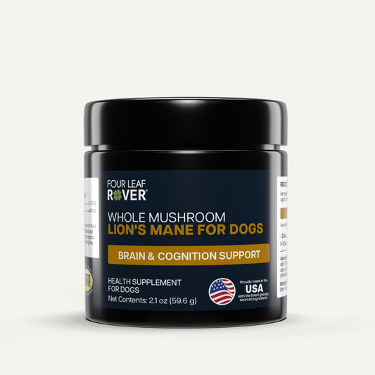 Lion's Mane Mushroom