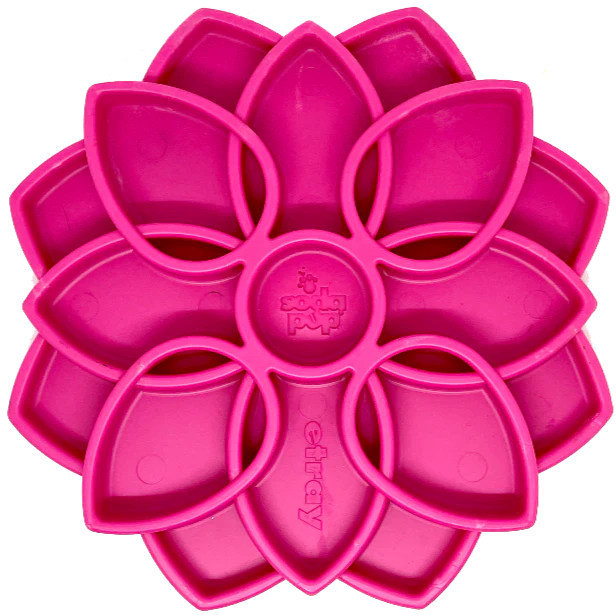 Enrichment Bowl - Mandala