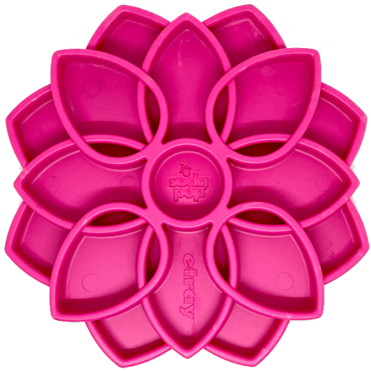 Enrichment Bowl - Mandala
