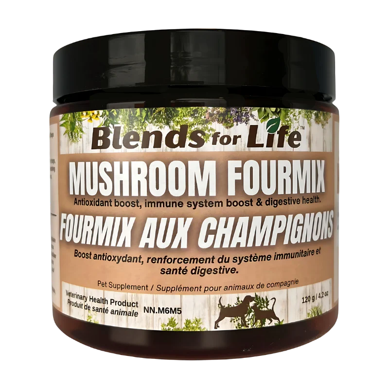 Mushroom Fourmix - Blends for Life