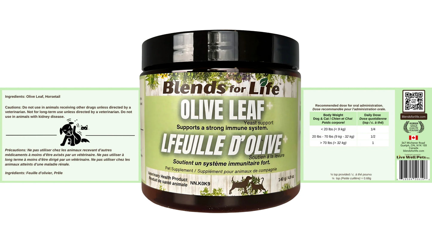 Olive Leaf + - Blends for Life