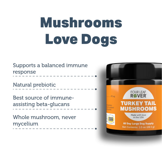 Turkey Tail Mushrooms