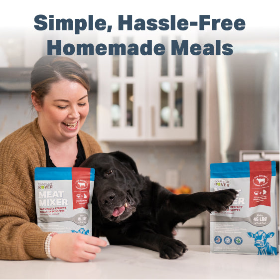 Meat Mixer - Homemade Dog Food