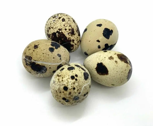 Quail Eggs - 24 Pack