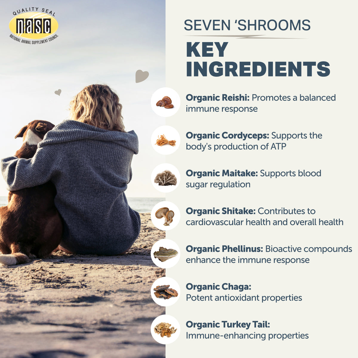 Seven Shrooms - Natural Immune Support