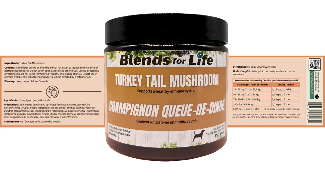 Turkey Tail Mushroom - Blends for Life