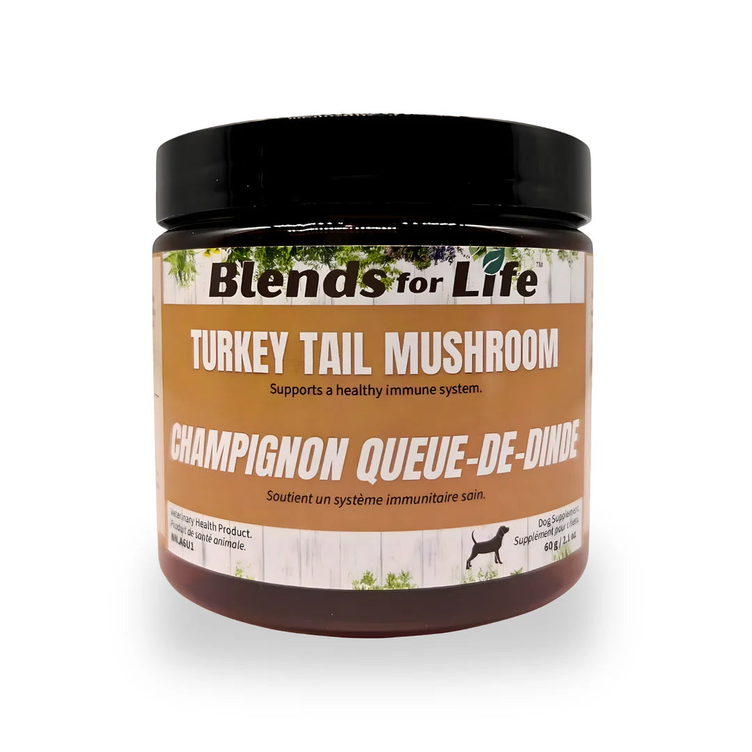 Turkey Tail Mushroom - Blends for Life