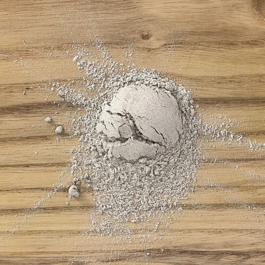 Turkey Tail Mushroom - Blends for Life