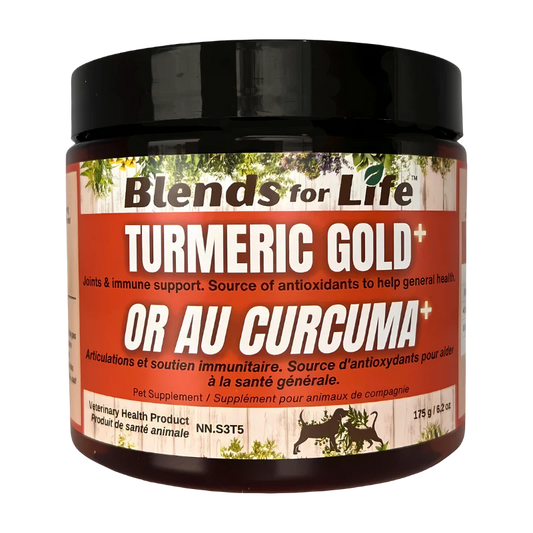 Turmeric Gold+ - Blends for Life